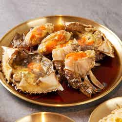 シンサコッケタン 大阪梅田店/提供画像