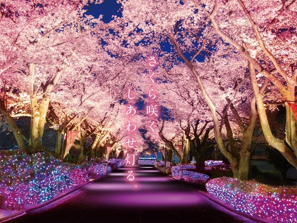 夜桜ジュエルミネーション／画像提供：よみうりランド