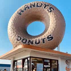 ランディーズドーナツ/提供画像