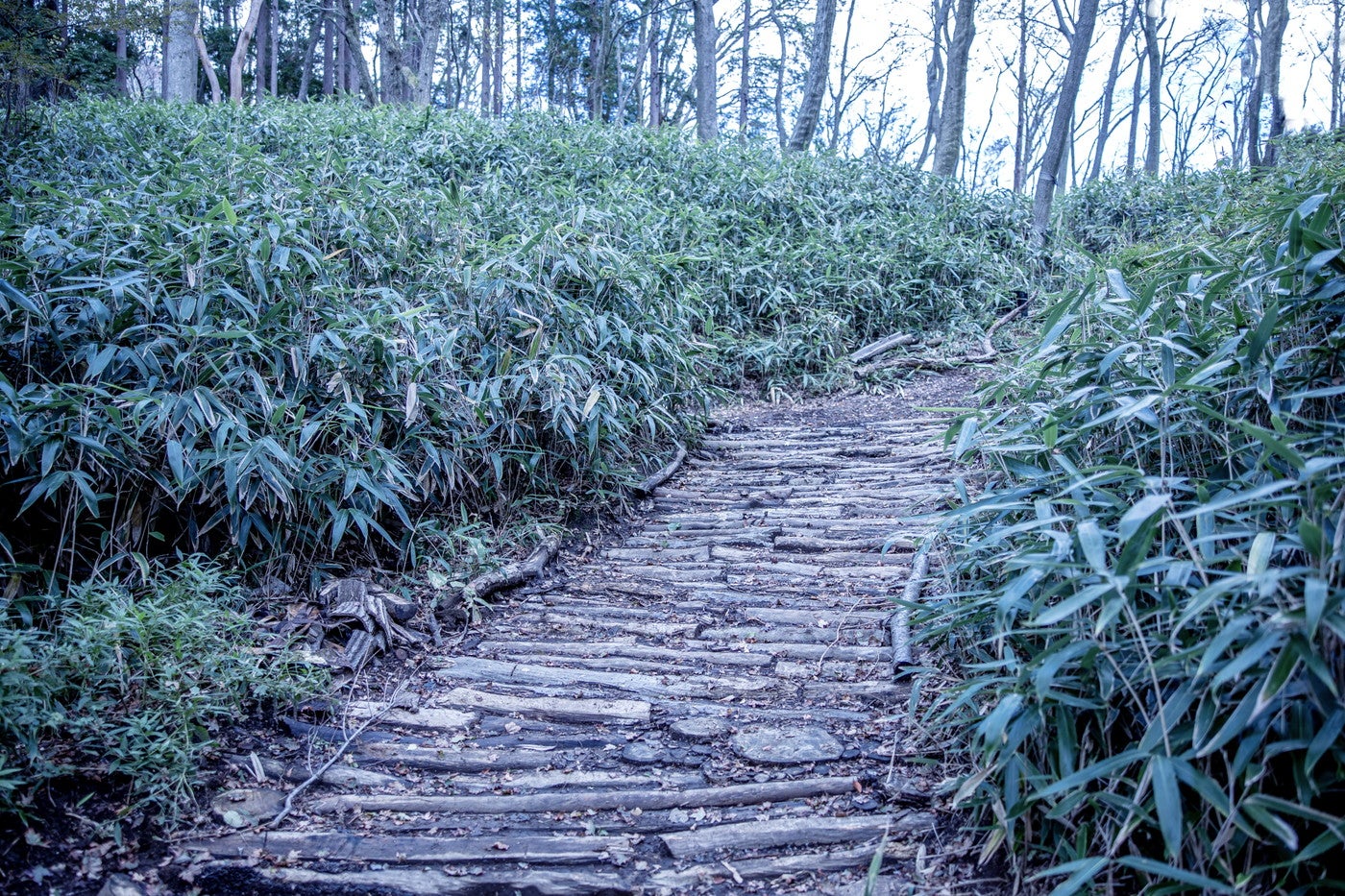 ニコライ バーグマン 箱根 ガーデンズ／提供画像