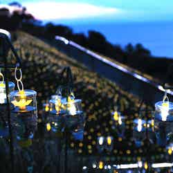 光の水仙が美しすぎる!福井の絶景イルミネーションが話題/画像提供:越前町観光連盟