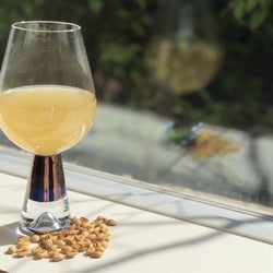 白いコーヒー豆飲料が登場!ハーブとブレンドした赤黄青色も揃える。名古屋で試飲可