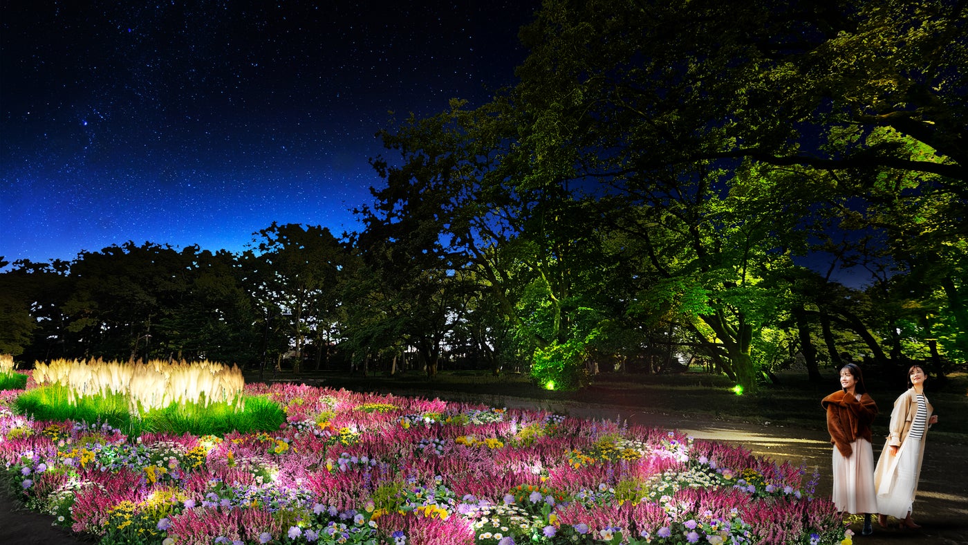 花と光のムーブメント 小金井公園ナイトパーク ワンダー／提供素材