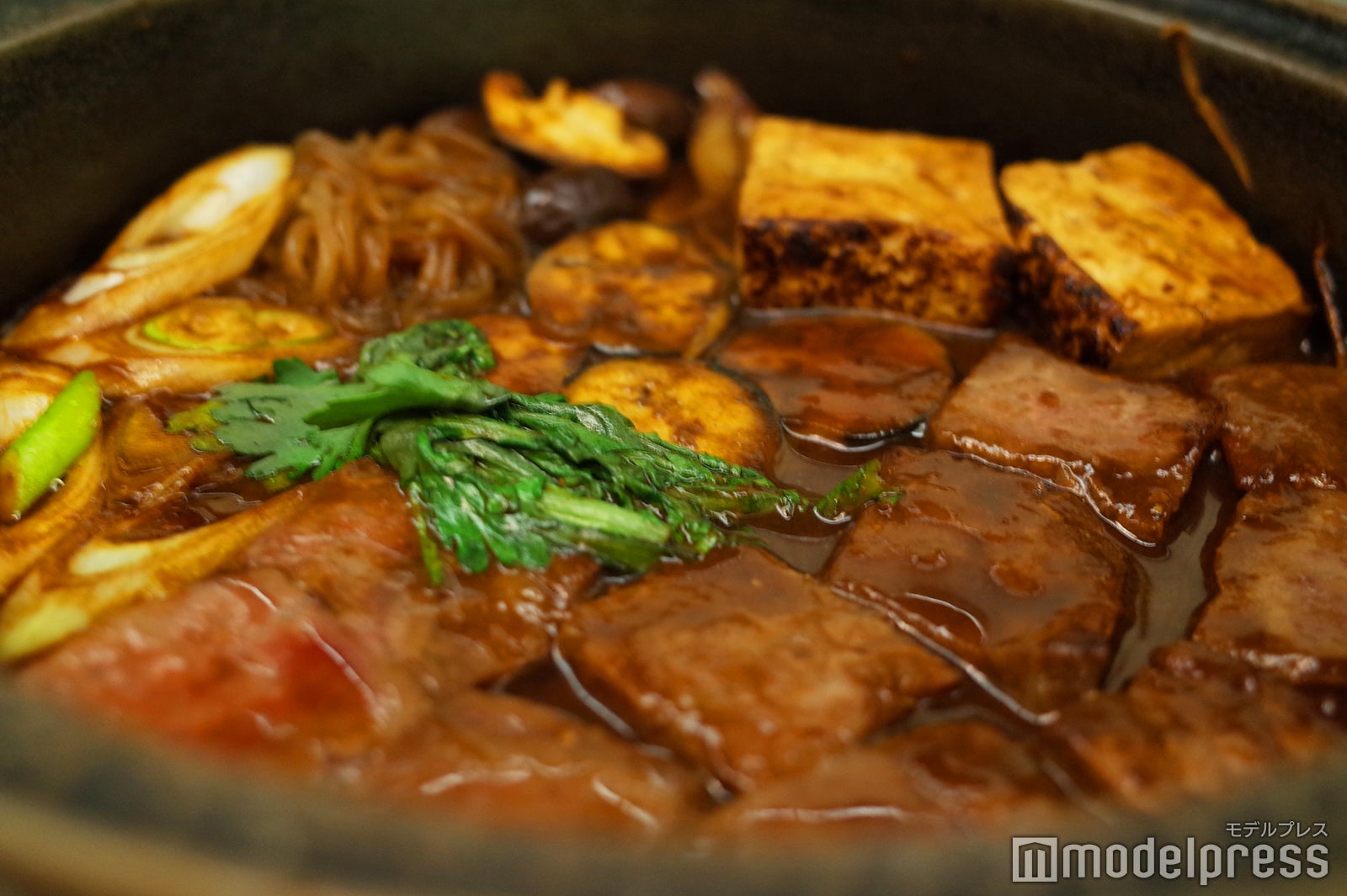 星野リゾート　界 箱根（C）モデルプレス