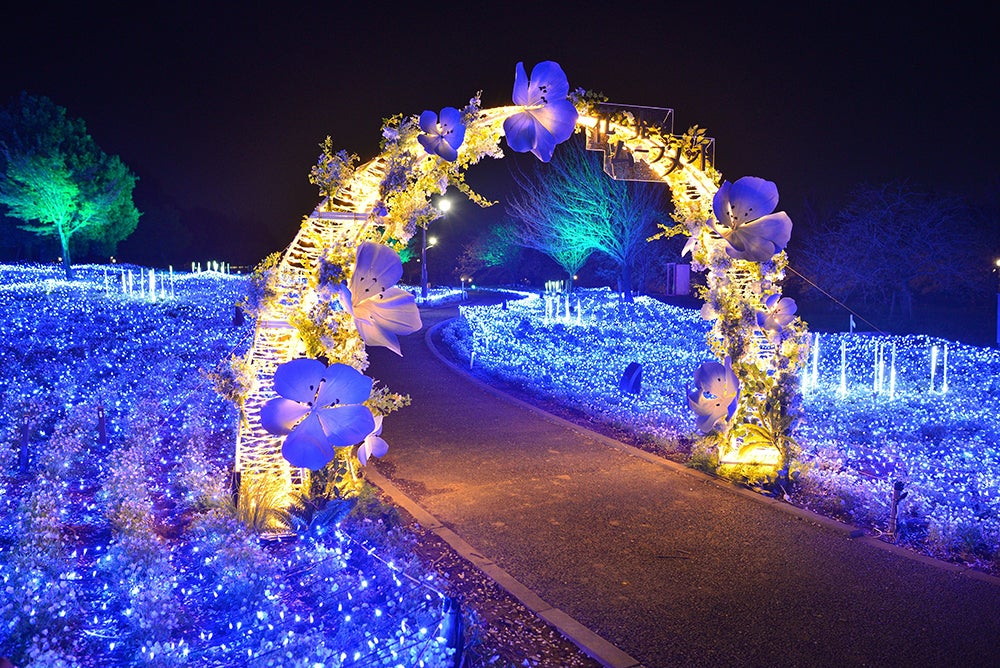 “ネモフィラの海”を美しくライトアップ、東京・舎人公園で春イルミ「花と光のムーブメント」
