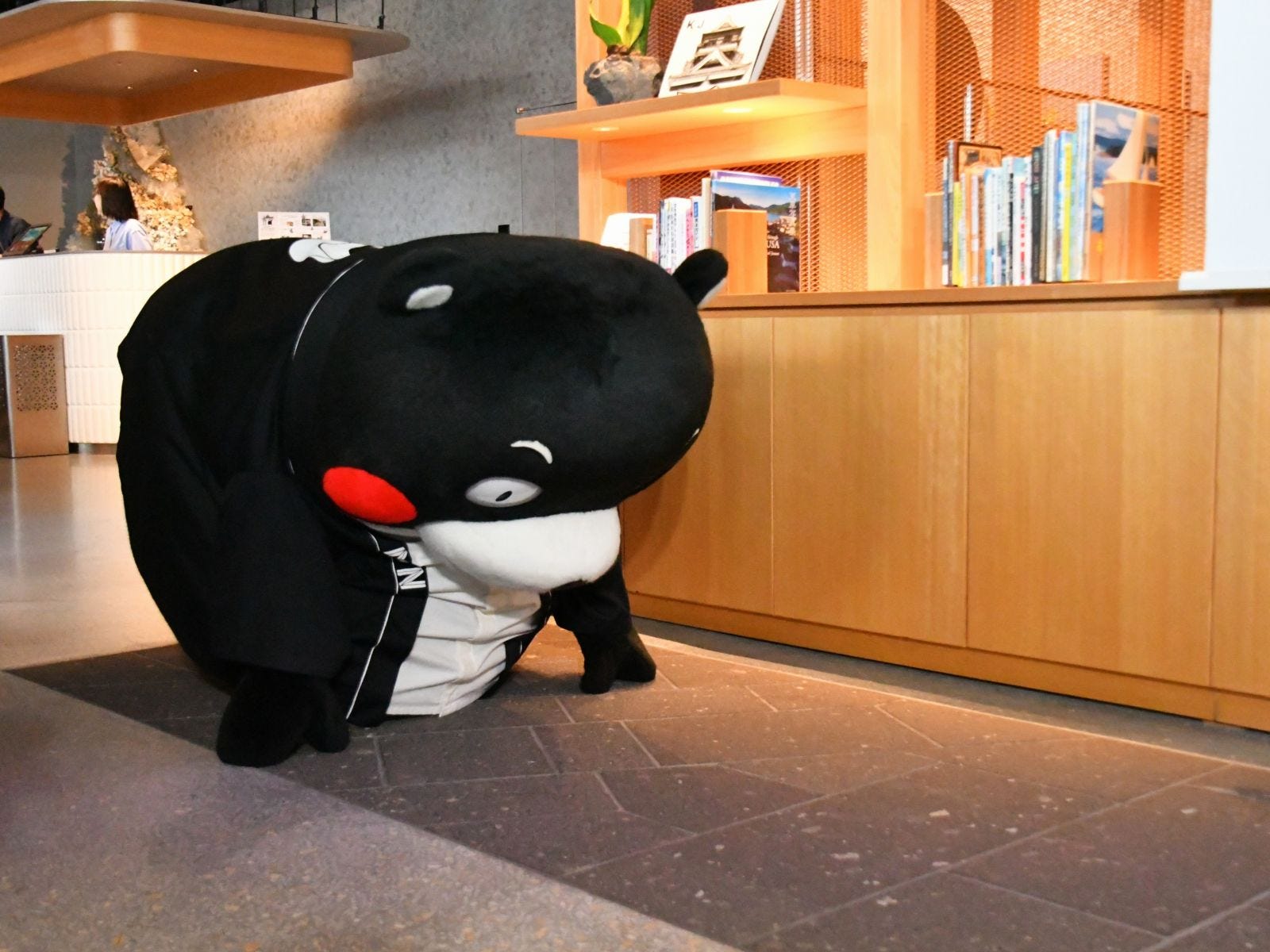 位置について~=6月27日、熊本市