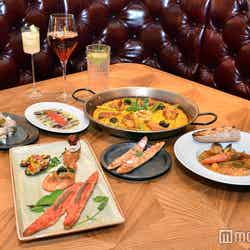 LUBINA(C)モデルプレス