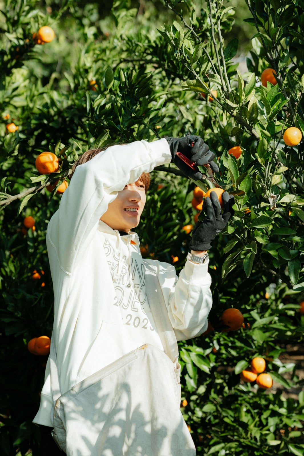 Nissy（提供写真）