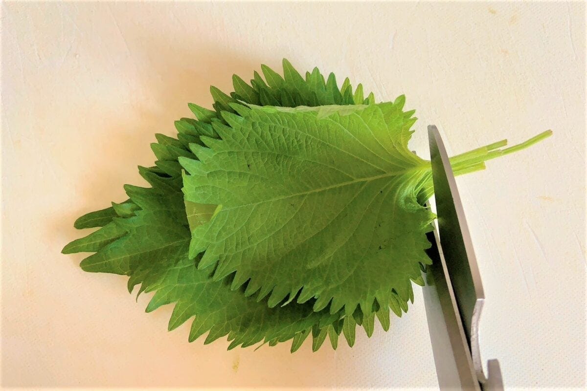 青じそのしょうゆ漬け