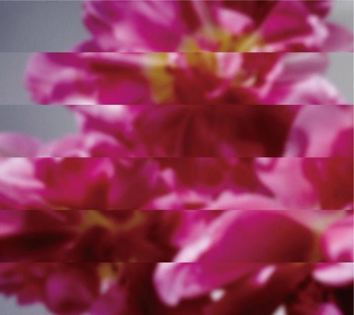 満島ひかりが歌い踊る Mondo Grosso話題mvの裏側公開 モデルプレス 満島ひかりが歌い踊る Mondo Grosso話題mvの裏側公開 モデルプレス