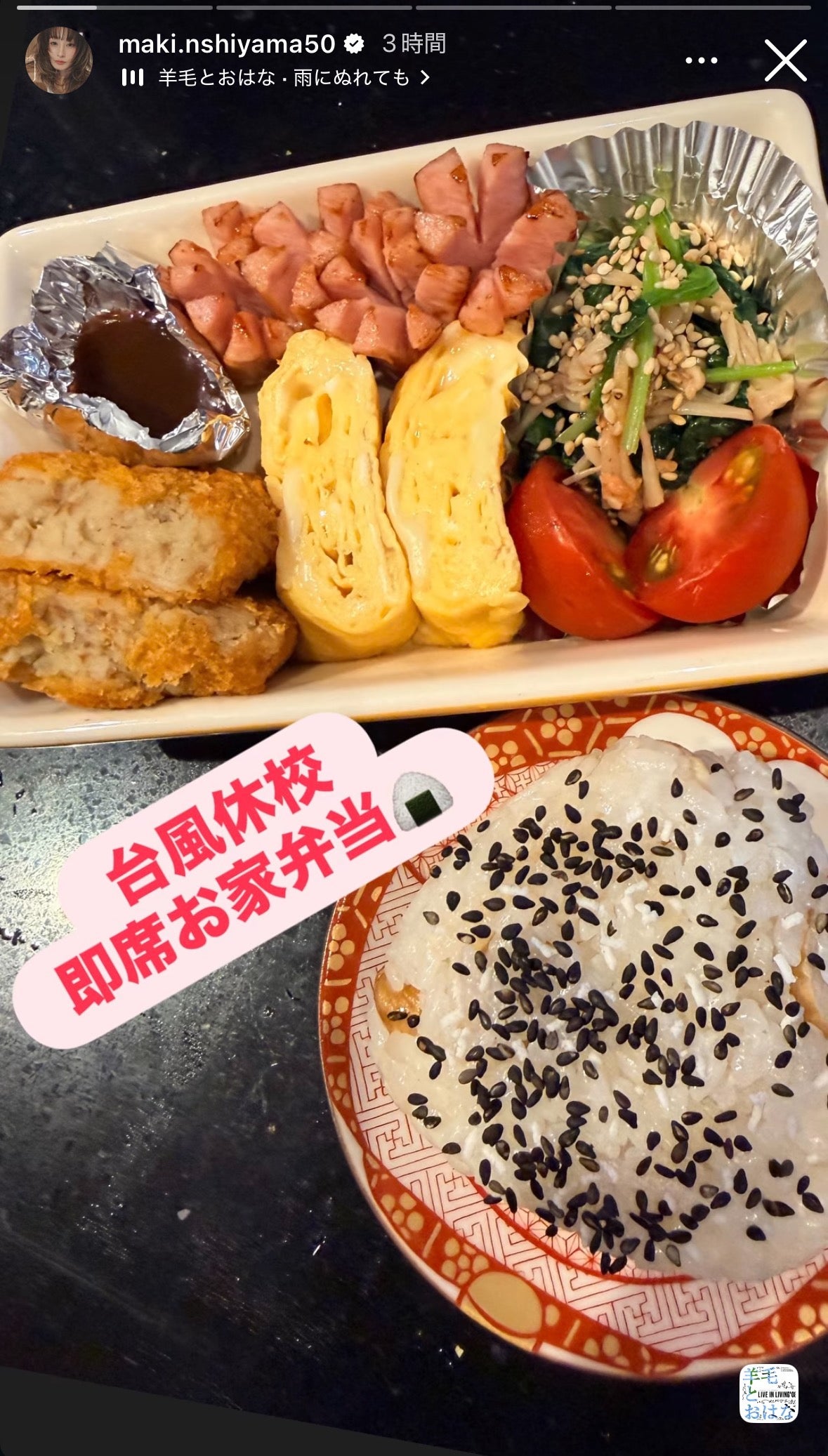 西山茉希Instagramストーリーズより