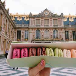 ヴェルサイユ宮殿内のラデュレのマカロン/画像提供:所属事務所/画像提供:所属事務所