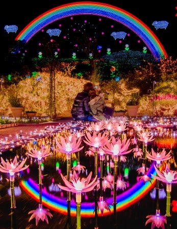 Flower Fantasy～光の花の庭2018～イメージ／画像提供：足利フラワーリゾート