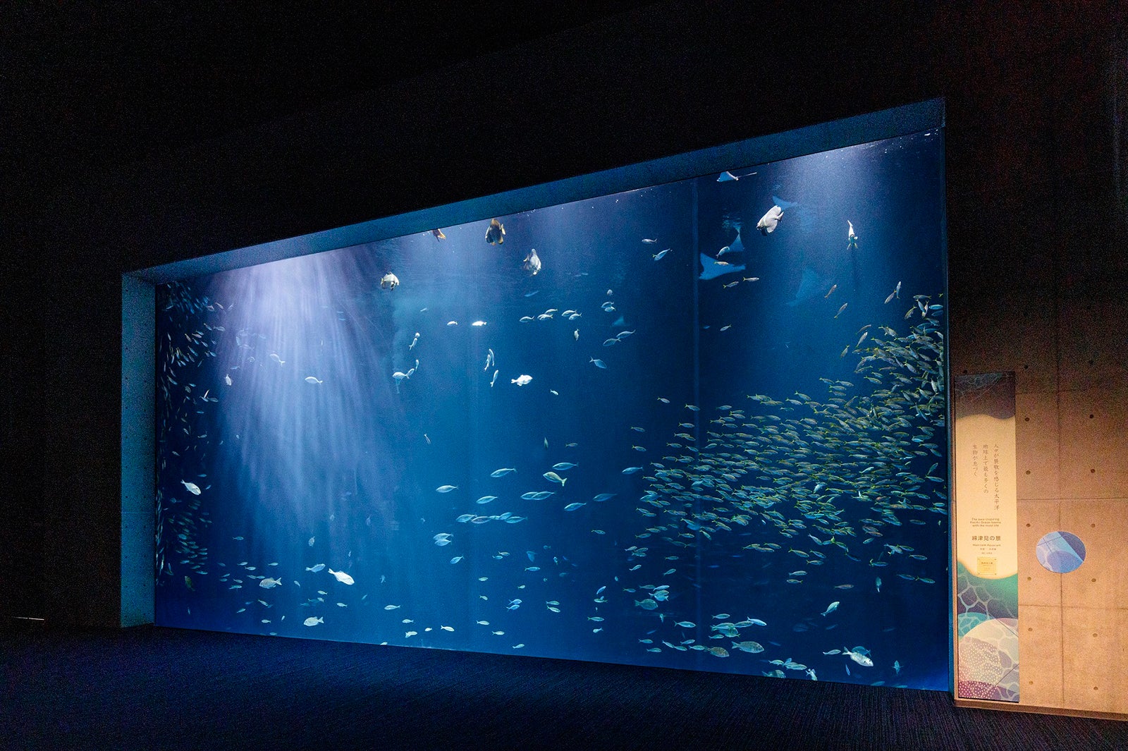 四国水族館（C）四国水族館