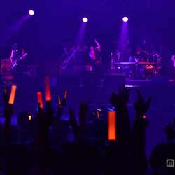 西川貴教「KAWAii!! MATSURi」で熱唱、大きな盛り上がりを見せる