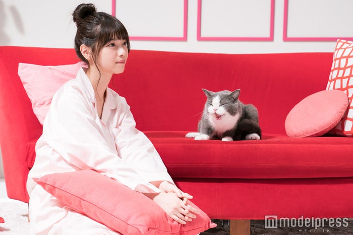 乃木坂46の ペット トーク 西野七瀬 高山一実の共通ワードは ブサカワ キャプテン桜井玲香に似てる動物も判明 モデルプレス 乃木坂46の ペット トーク 西野七瀬 高山一実の共通ワードは ブサカワ キャプテン桜井玲香に似てる動物も判明 モデルプレス