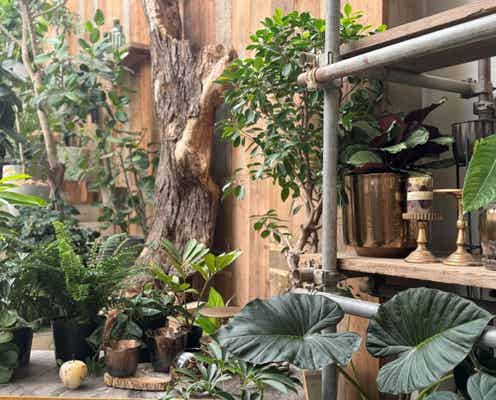 【大阪・梅田】洗練されたグリーン&インテリアにときめく♡ KITTE大阪に進化系園芸店「garage OSAKA」がオープン