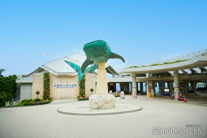 沖縄美ら海水族館(C)モデルプレス