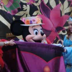 魔法の祭典「スプリングタイム・サプライズ」