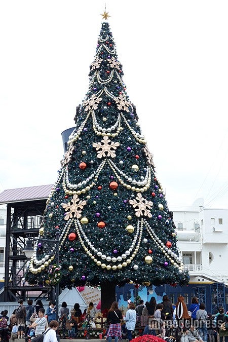 S．S．コロンビア号の前ツリー（昼）