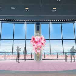 主なフォトスポット/空に舞う(フロア350)
(C)TOKYO-SKYTREE