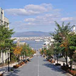 函館の街並み/画像提供:リビタ