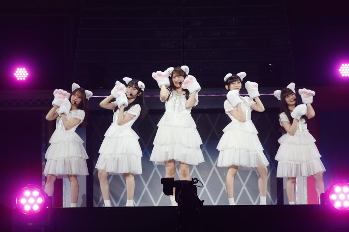 乃木坂46、3期生～6期生集結ライブ開催 4年間に発表されたシングルカップリング曲のみで構成