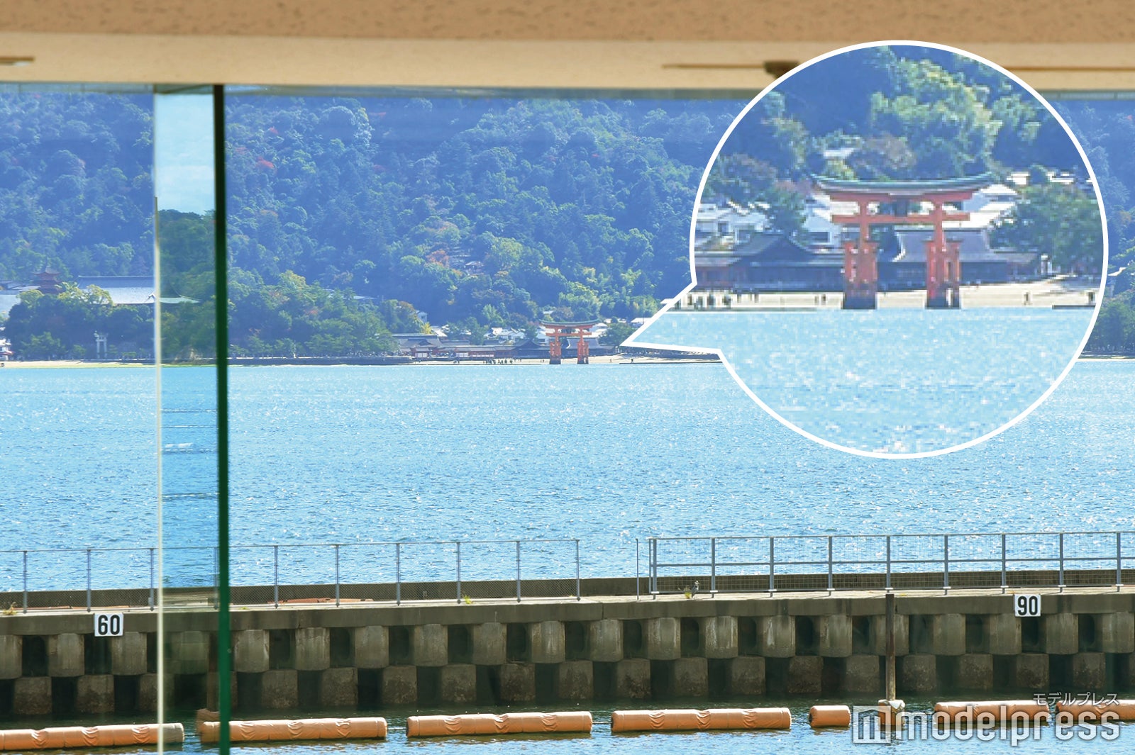 観戦スペースから厳島神社の大鳥居が望めます（C）モデルプレス