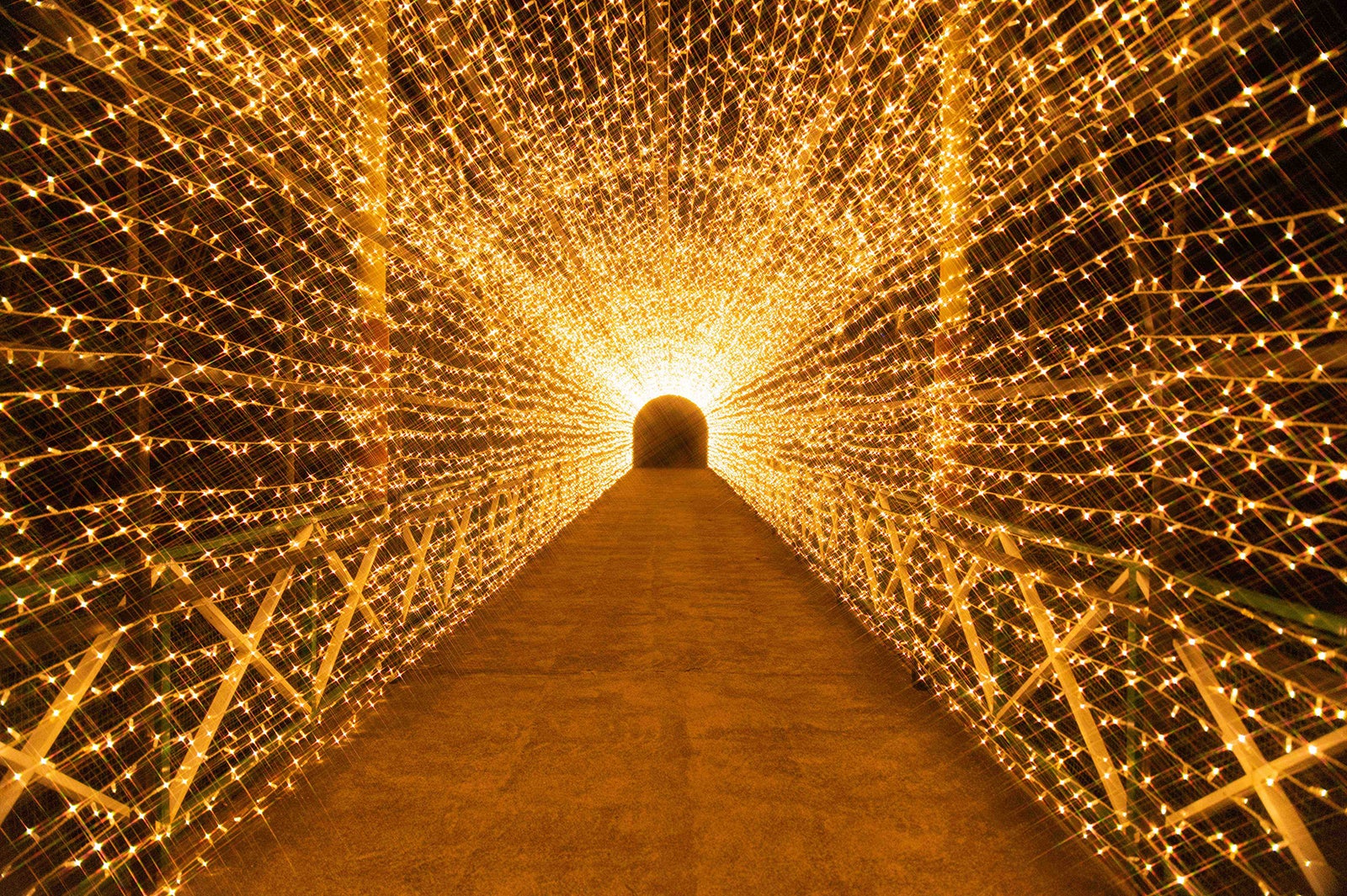 光のトンネル／画像提供：みろくの里