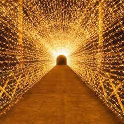 光のトンネル/画像提供:みろくの里
