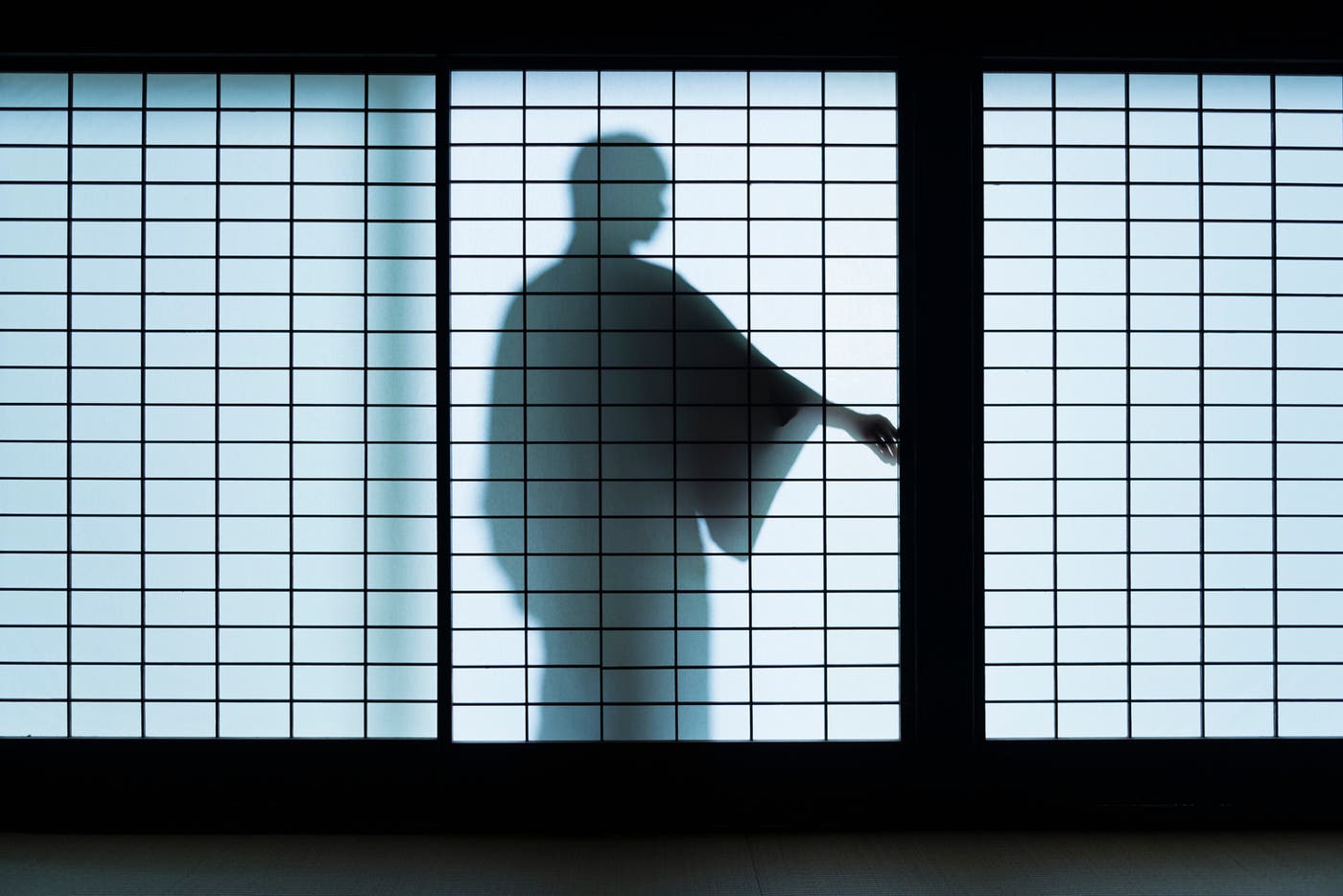 「文豪ノスタルジア 染谷俊之x谷崎潤一郎 陰翳礼讃」より