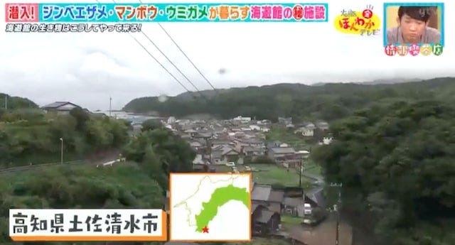 秘密の施設が高知県に？大阪・海遊館の知られざる裏側とは