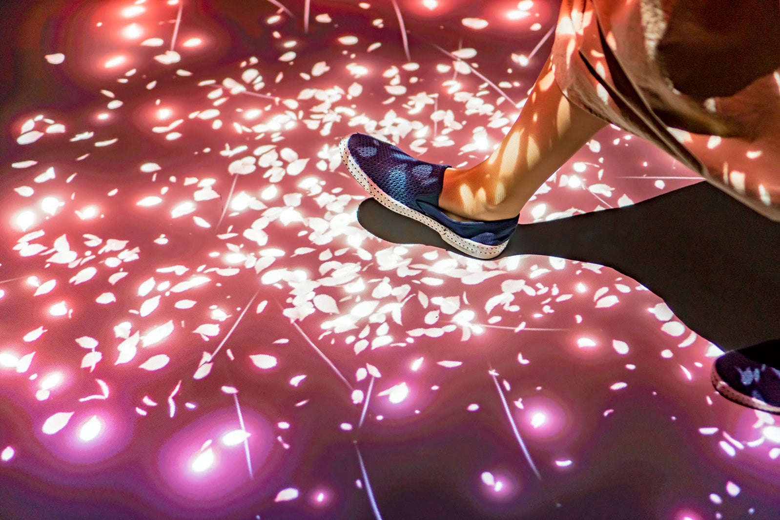 桜の絨毯の上を歩くと花びらが舞う／画像提供：オリックス株式会社