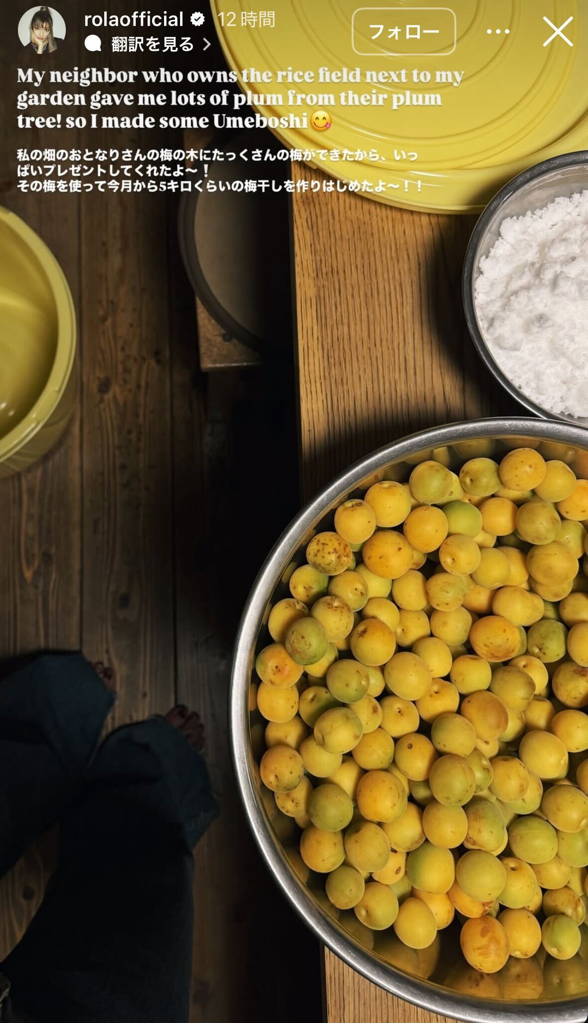 ローラInstagramストーリーズより