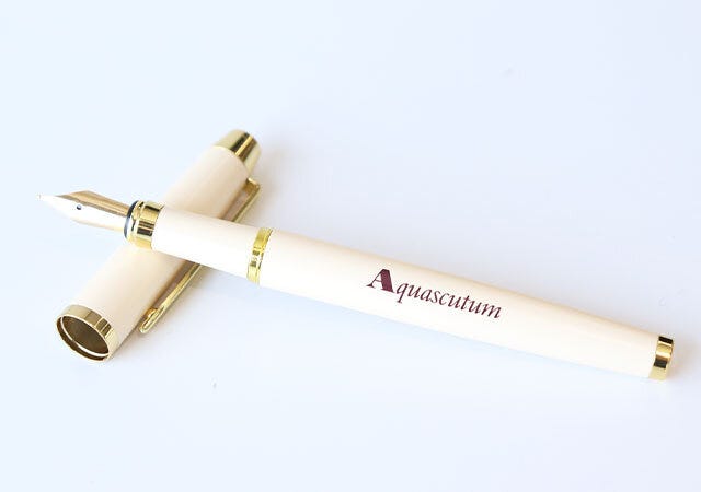 宝島社　ムック本　付録　Aquascutum