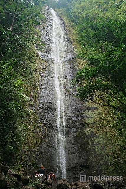 トレッキングコースの山奥ににあるマノアの滝／photo by waffries