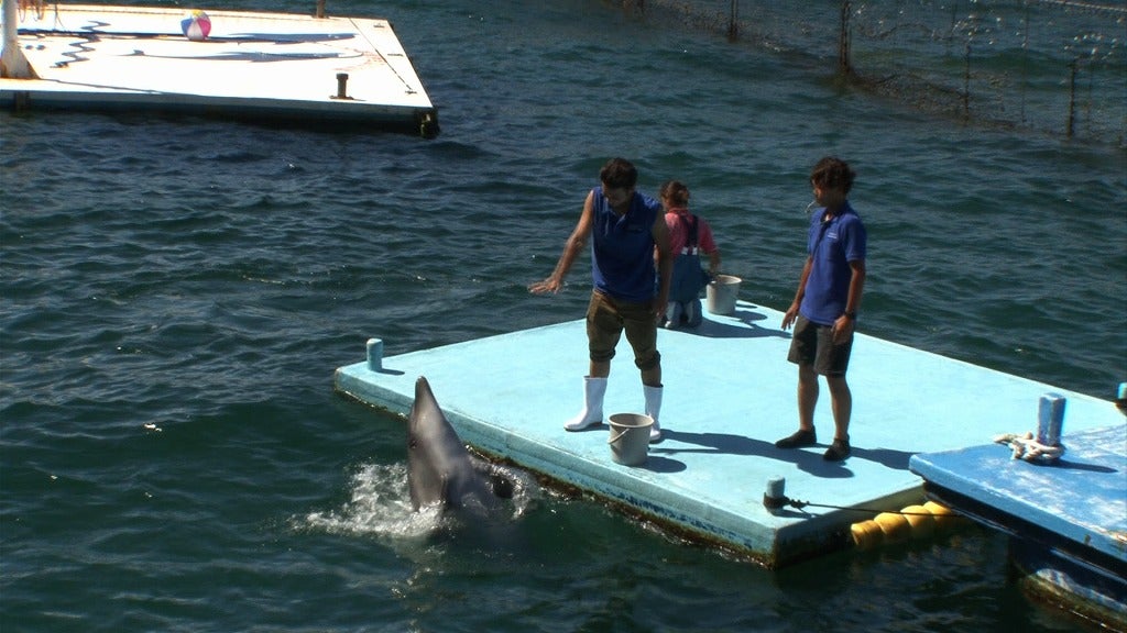 健一「恋んトス」シーズン6（C）TBS