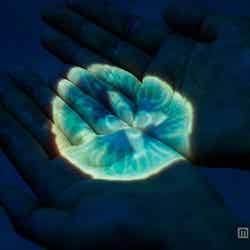 シーワールド、クラゲが手のひらに ホログラムで神秘の世界を体感/写真はクラゲベンチ 画像提供:株式会社グランビスタ ホテル&リゾート