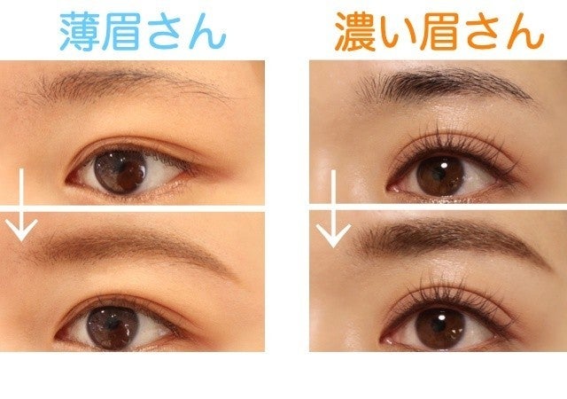 薄眉 濃い眉別の美人見え眉を作る方法 モデルプレス