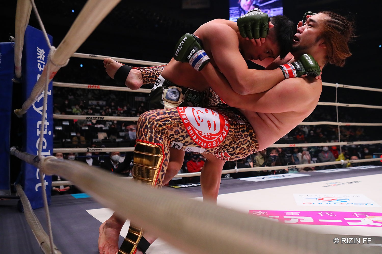 シバターVSHIROYA（C）RIZIN FF