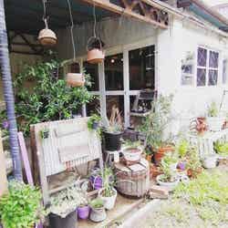 農カフェ クルール/提供画像