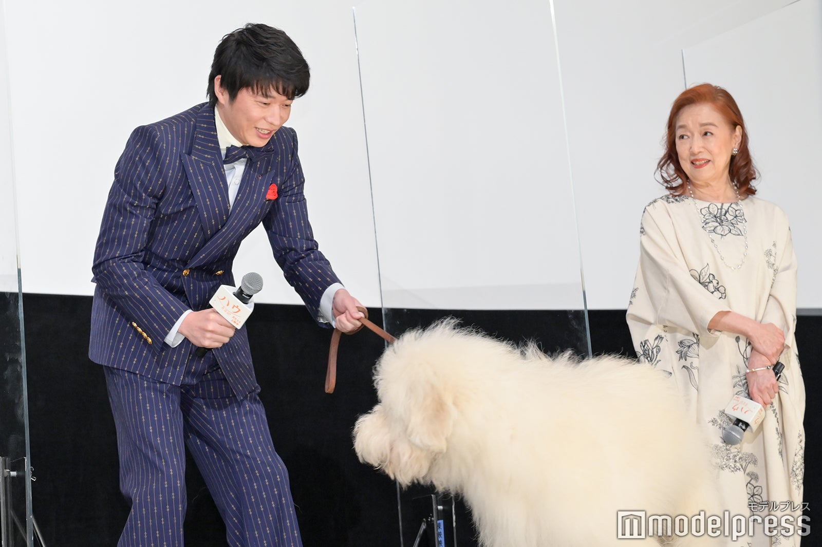 田中圭（C）モデルプレス