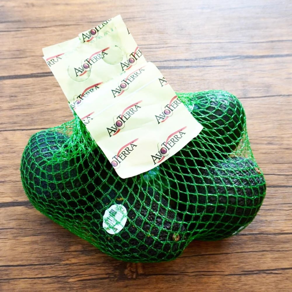 AVOTERRAアボカド