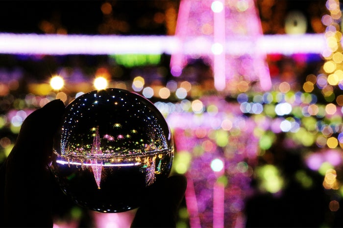 Flower Fantasy／画像提供：足利フラワーリゾート