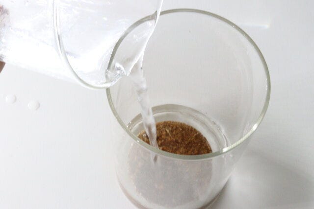 ダイソー 栽培セットやみつきパクチー ダイソーの栽培セットやみつきパクチーの用土に水を含ます