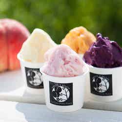 あいぱく KOBE出品メニュー/画像提供:アイスクリーム・ラバー