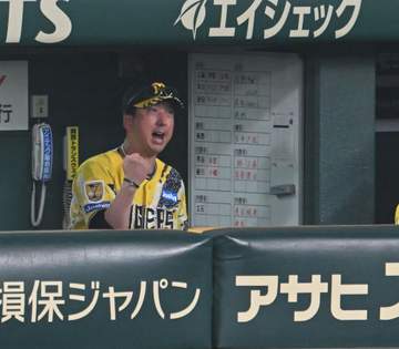 阪神・藤川監督がリクエスト成功で会心ガッツポーズ 甲子園が大熱狂 2死三塁が1死満塁に 大山が勝ち越し2点適時打 高橋に12勝目の権利