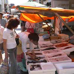 早朝から多くの人で賑わう輪島朝市(提供写真)