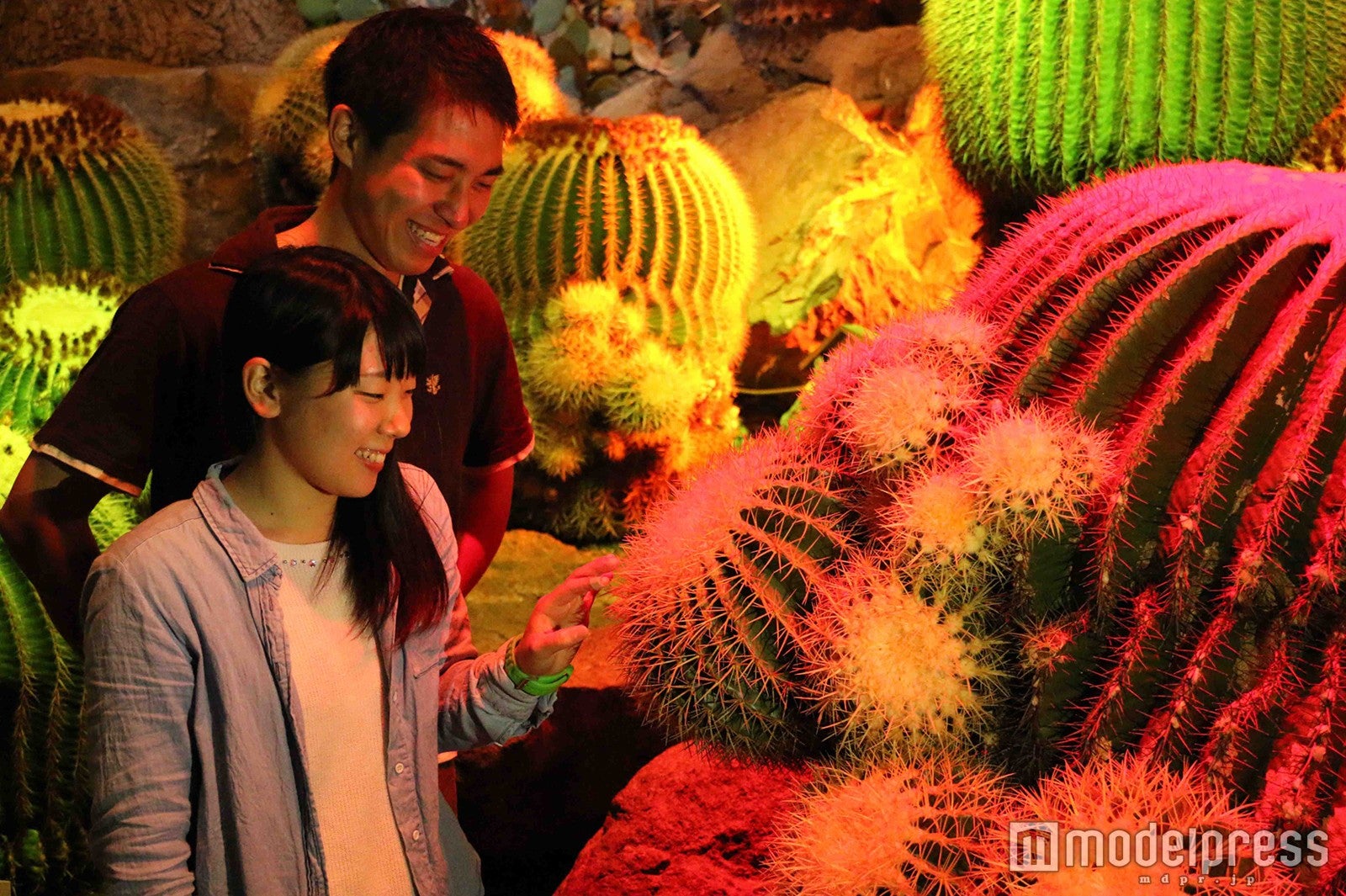 温室ライトアップ／画像提供：伊豆シャボテン公園