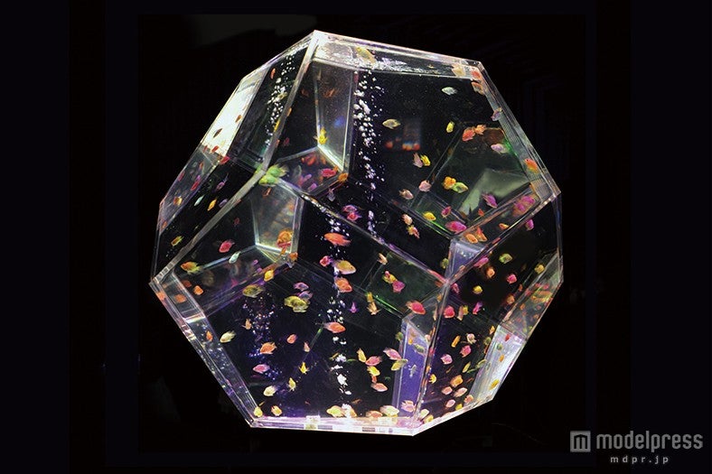 透明な多面体でプリズム効果をもたらす「プリズリウム」